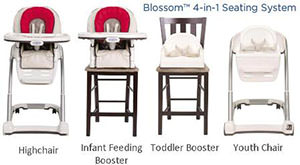 Graco Blossom 4-in1 Seating System