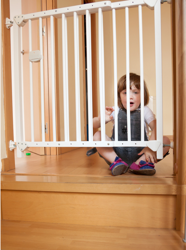 Baby Gates Lucie S List