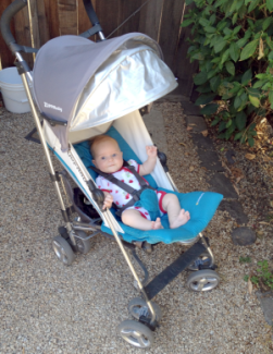 baby in umbrella stroller