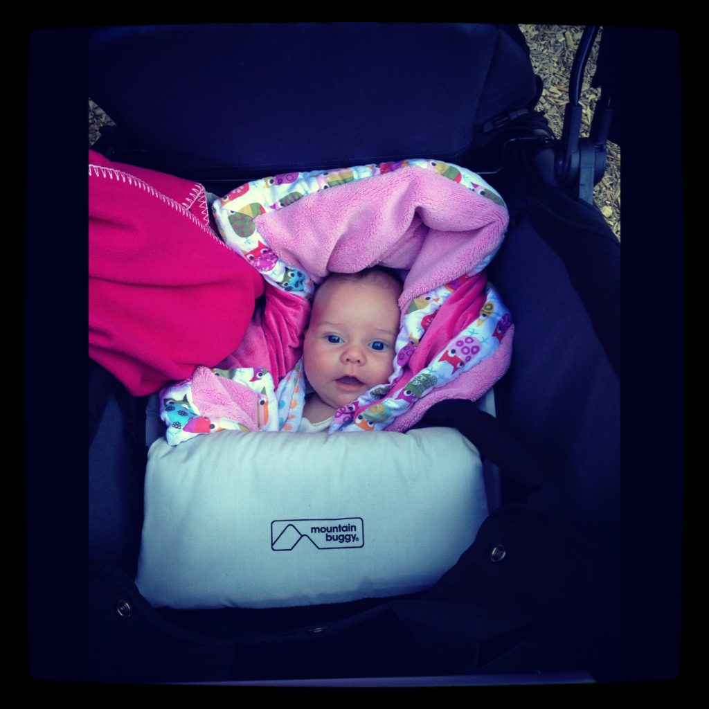 Best AllTerrain Tandem Strollers for 2019 Our Ultimate Pick