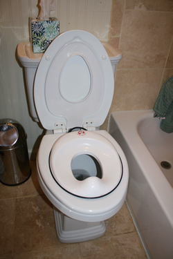 Bjorn seat two-day method of potty training