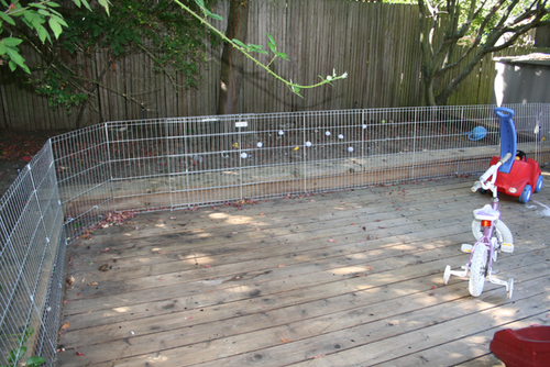 BlairHousePerimeter Fence baby gate