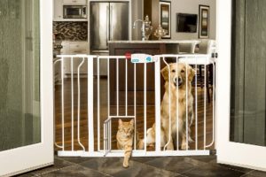 lucie's list baby gates