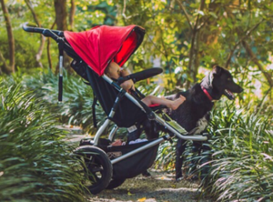 mountain buggy hood replacement