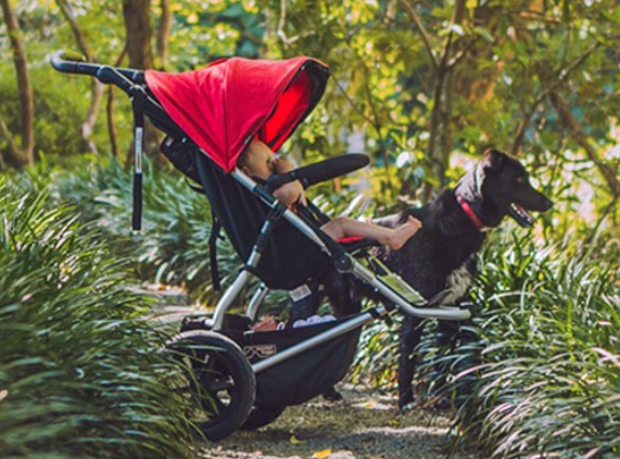 mountain buggy baby strollers