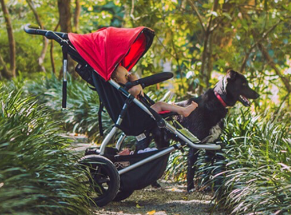 urban jungle mountain buggy review