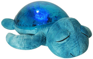 Tranquil Turtle