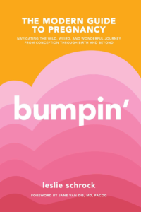 bumpin' modern guide to pregnancy book