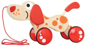 hape-walk-a-long-toy