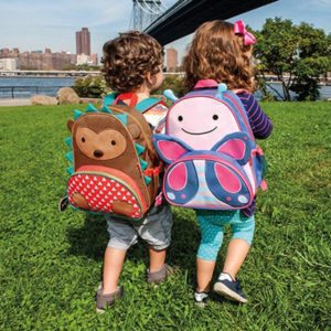 travel accessories: Skip Hop Backpack