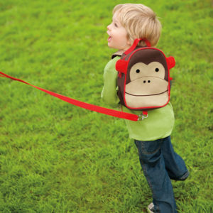 travel accessories: Skip Hop Harnessed Backpack
