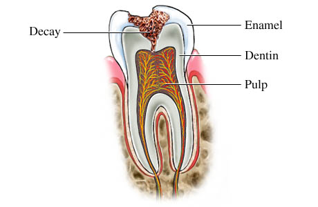 taking care of baby teeth