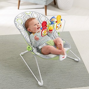Fisher-Price Geo Meadow baby bouncer