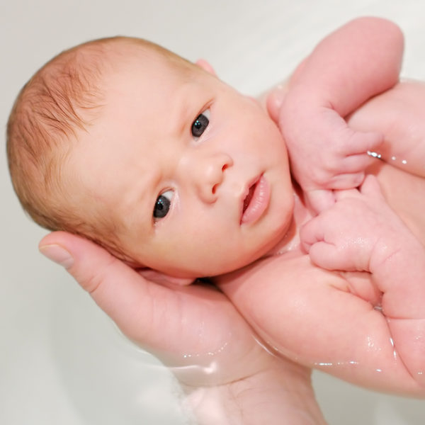 Newborn Bathtubs Lucie's List