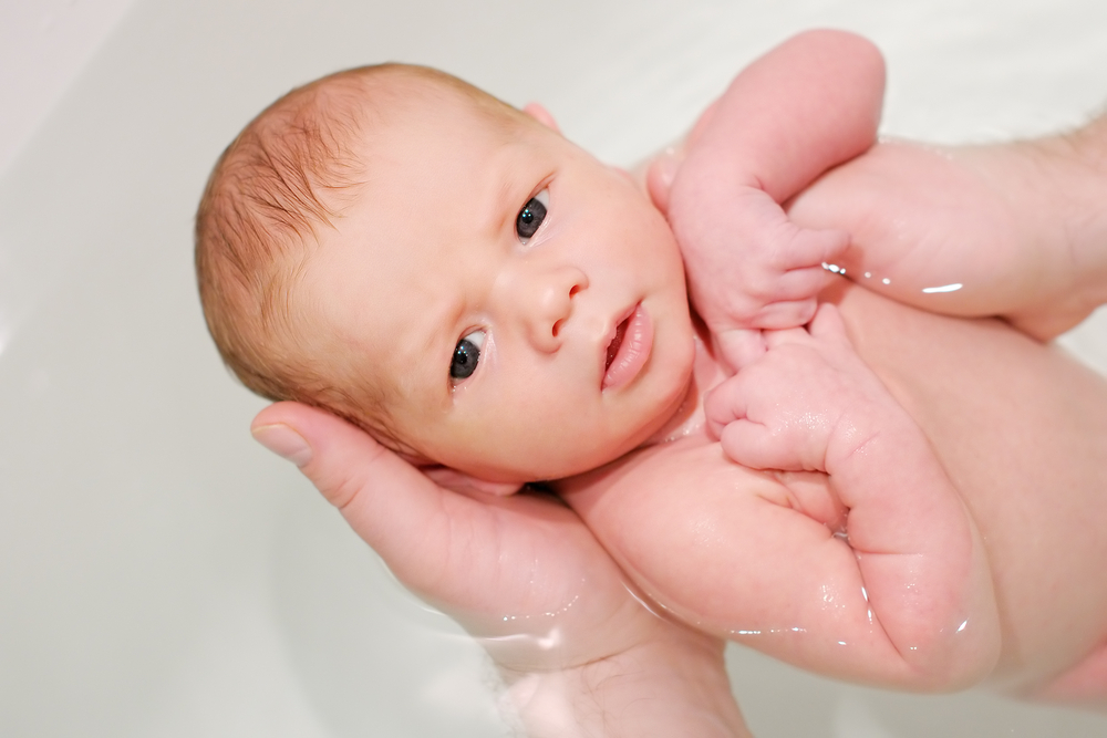 Newborn Bathtubs Lucie's List