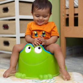 The Essential Potty Chair Guide