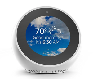 Luxe Gift Guide: Amazon Echo