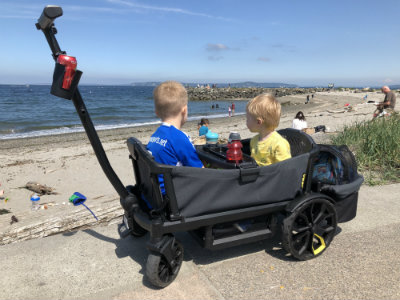 baby beach stroller