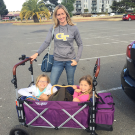 collapsible stroller wagon