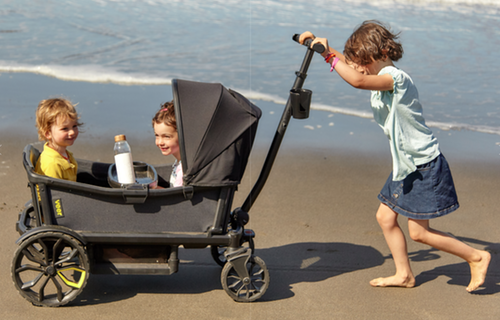 beach wagon with baby seat