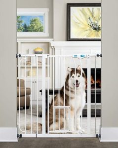 baby gates with dog door