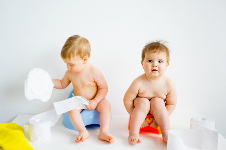 Potty Training Boy/Girl Twins  Twiniversity #1 Parenting Twins Site