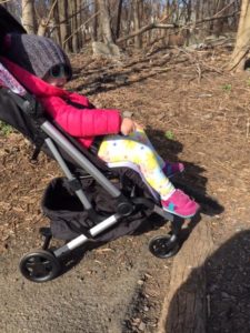 colugo review stroller