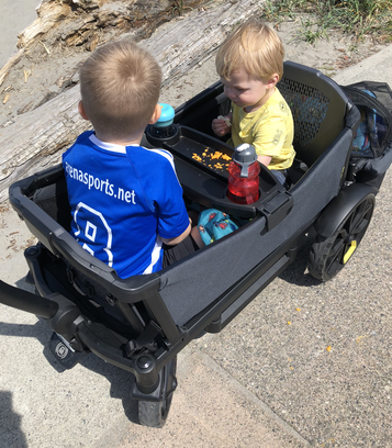 two kids in veer wagon