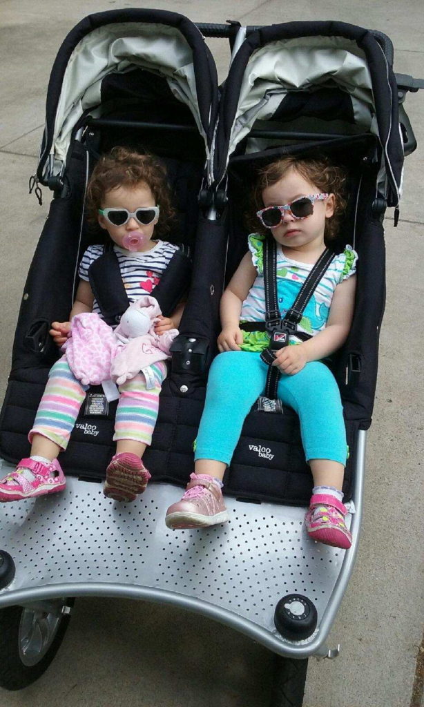 twins in stroller