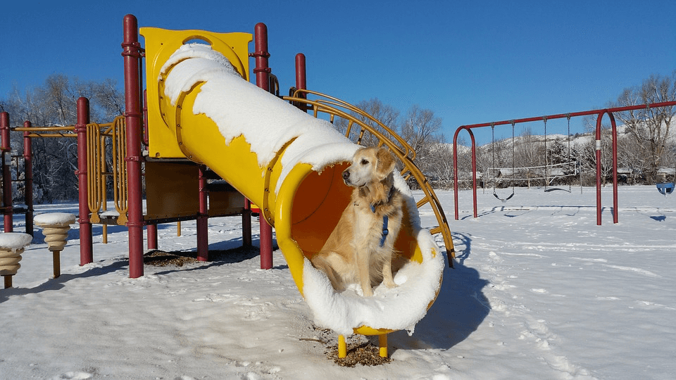 Childhood anxiety treatment