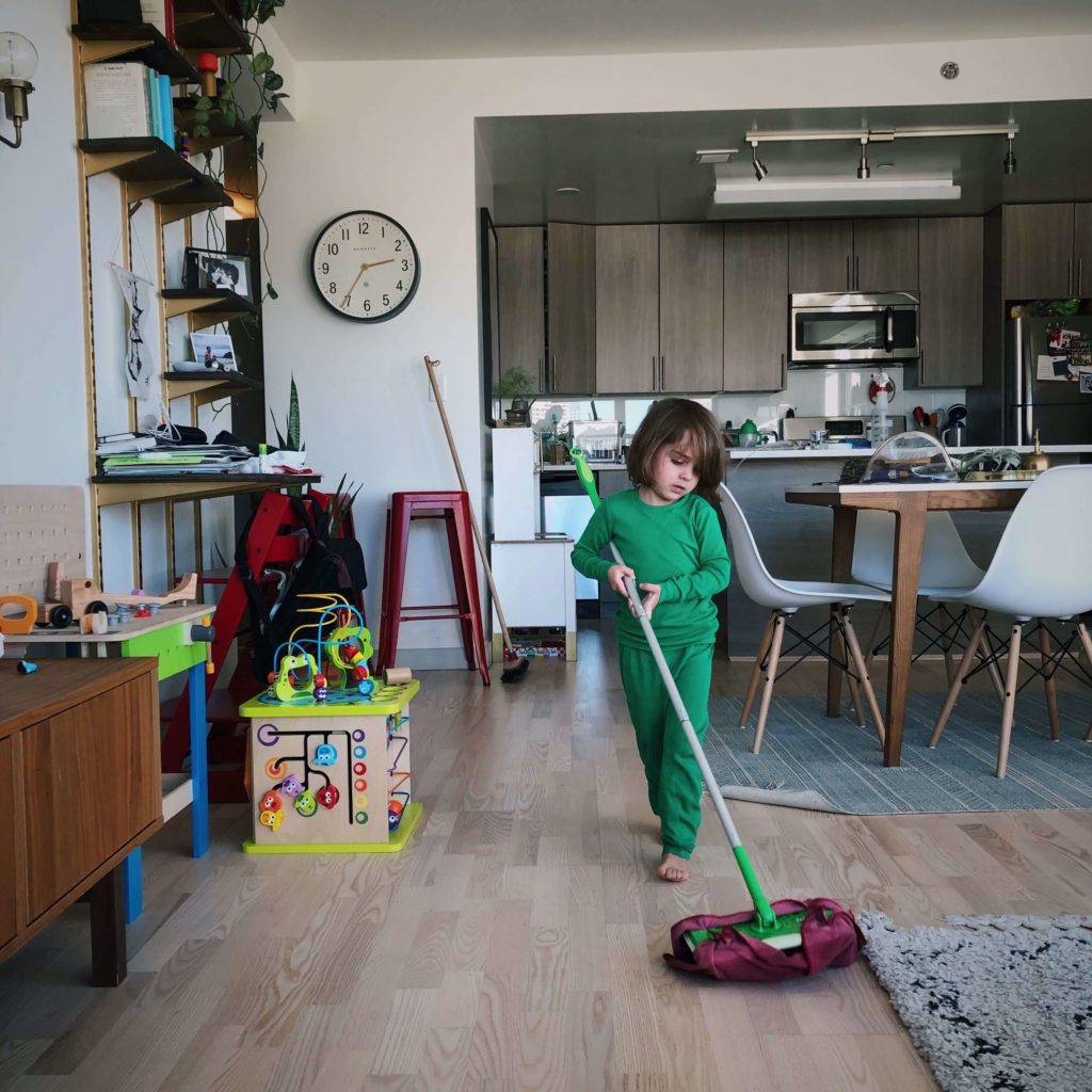 Family Cleaning