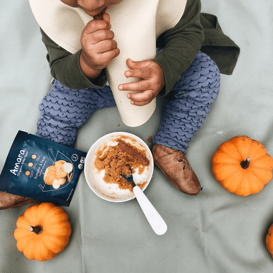 How to Pack the Perfect Toddler Lunch - Amara Organic Foods