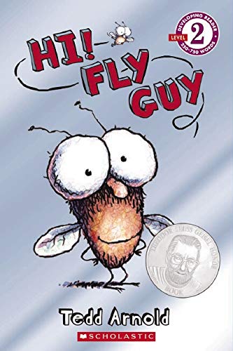 Best Books for Beginner Readers Fly Guy