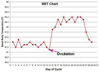 how to track ovulation -- basal temperature charting