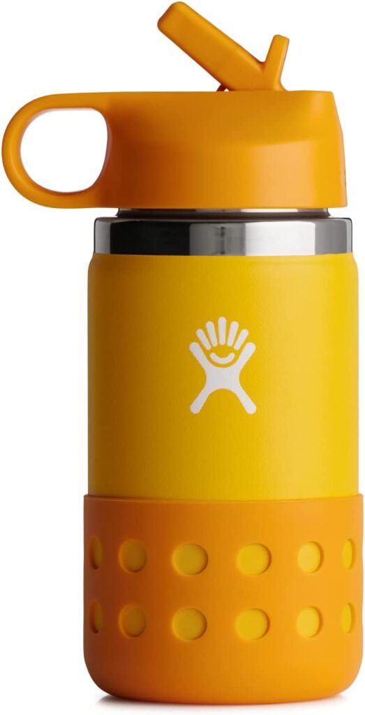 Best Deal for Wildkin Kids Stainless Steel 14 Ounce Water Bottle for Boys