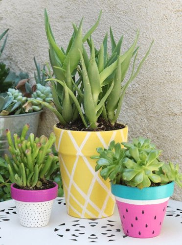 painted pots